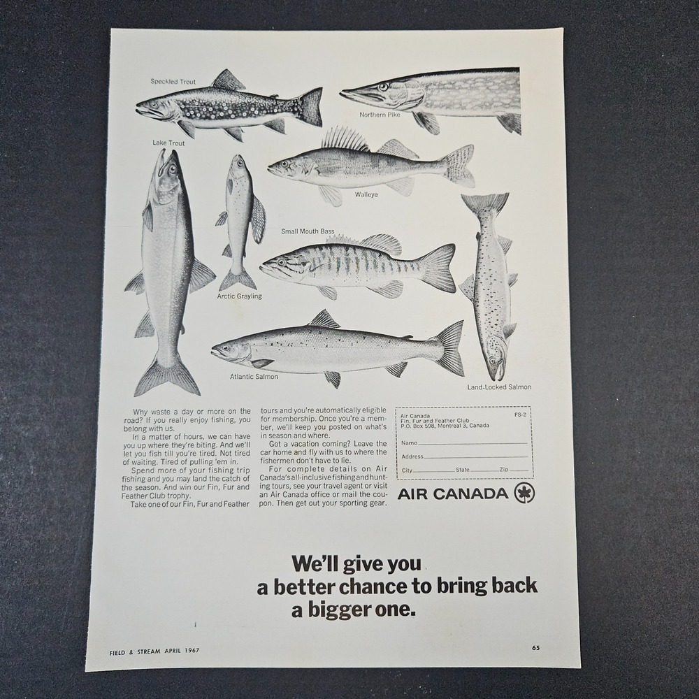 1967 Air Canada Vintage Print Ad Montreal Fishing Salmon Trout Pike Walleye Bass